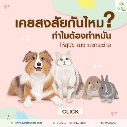 เคยสงสัยกันไหม ทำไหมต้องทำหมัน ?